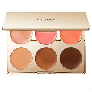 Iconic London Multi-use face palette